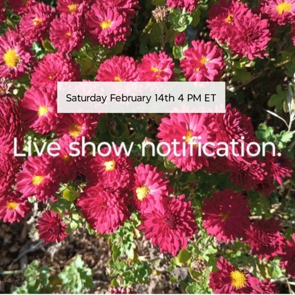 Other - Live show notification.